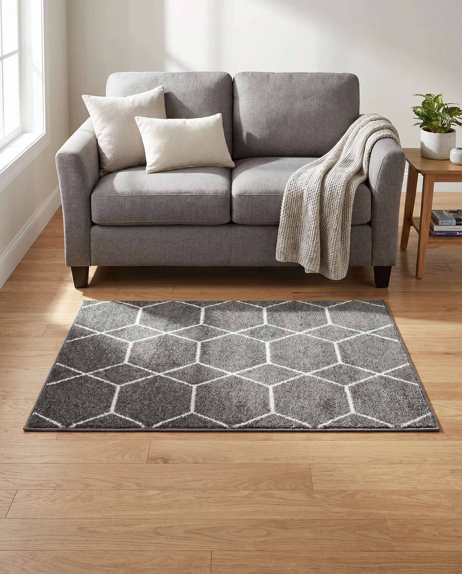 3' x 5' 3 Lattice Frieze Rug
