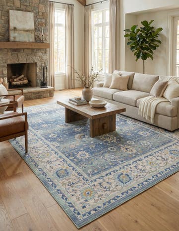 10' x 14' Whitney Rug