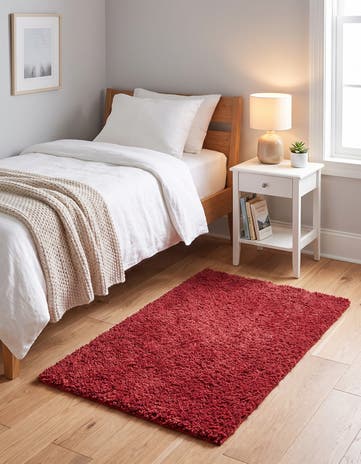 2' x 3' Zermatt Shag Rug