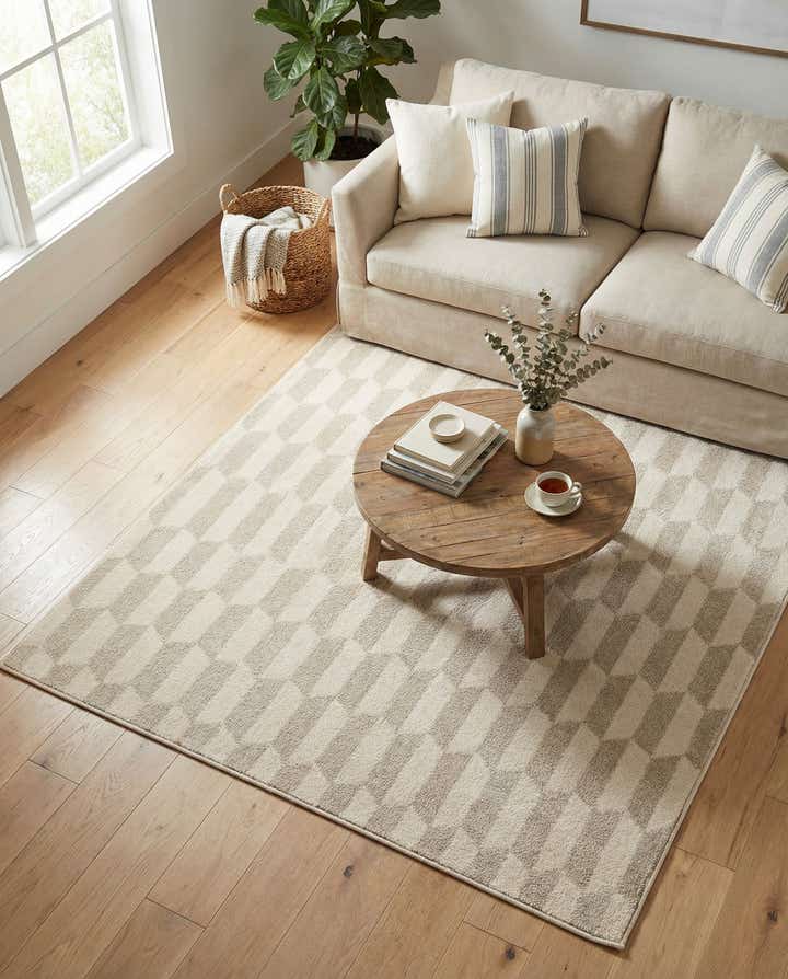 4' x 6' Contour Rug