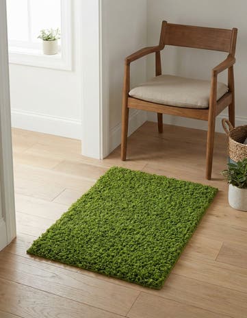 2' x 3' Solid Shag Rug