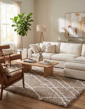 9' x 12' Soft Touch Shag Rug