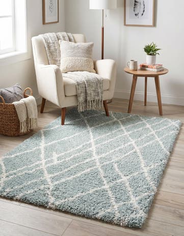 3' 3 x 5' 3 Soft Touch Shag Rug