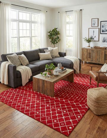 10' x 13' Moroccan Trellis Rug