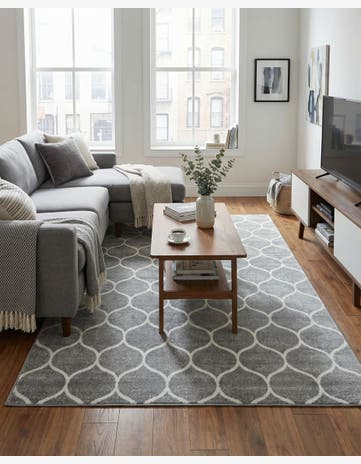 5' 3 x 8' Trellis Frieze Rug