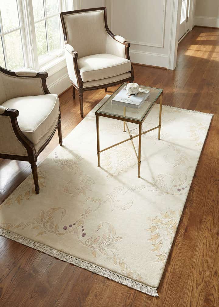 4' x 6' Darya Rug