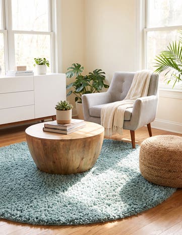 5' 3 x 5' 3 Zermatt Shag Round Rug