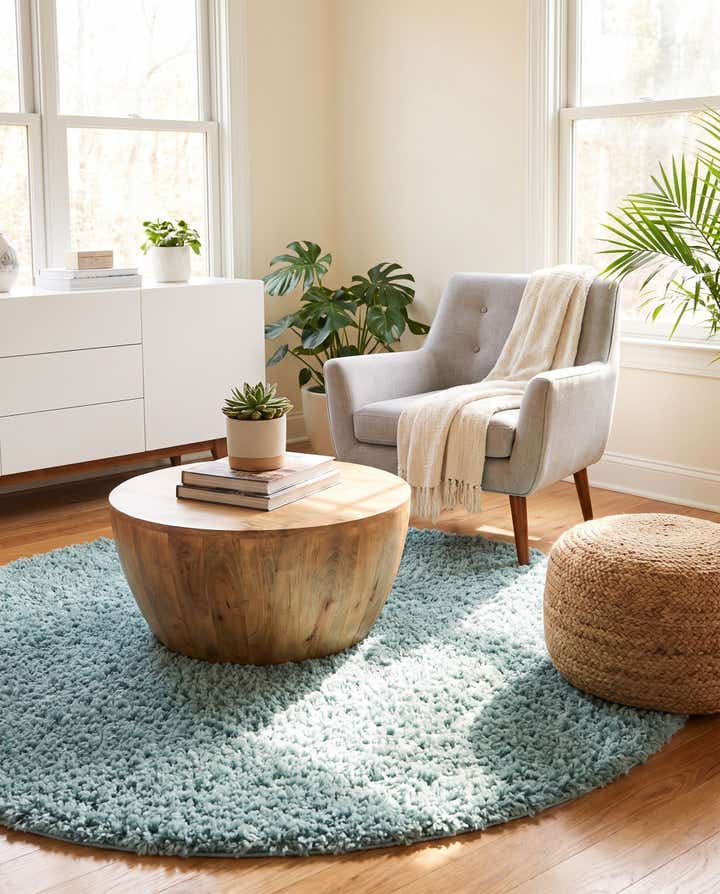 5' 3 x 5' 3 Zermatt Shag Round Rug
