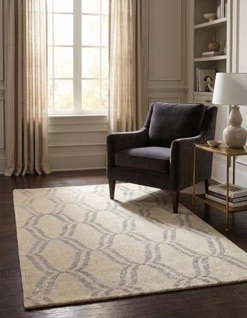 3' 9 x 6' Hand Knotted Darya Rug