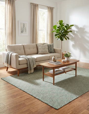 4' 1 x 6' 1 Hand Woven Geo Trellis Flatweave Rug