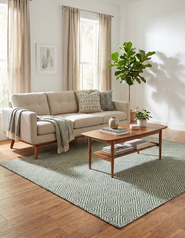 4' 1 x 6' 1 Hand Woven Geo Trellis Flatweave Rug