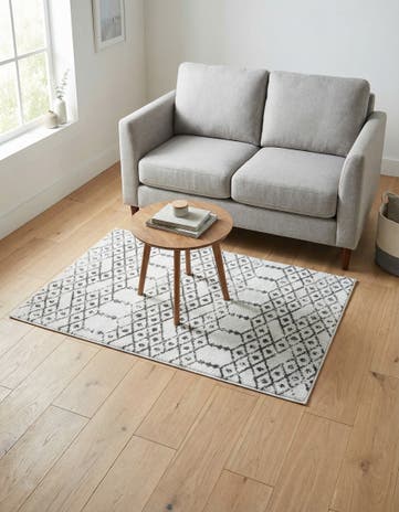 3' 3 x 5' 3 Paxon Trellis Rug