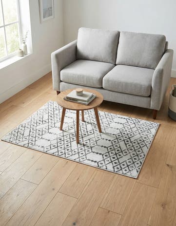 3' 3 x 5' 3 Paxon Trellis Rug