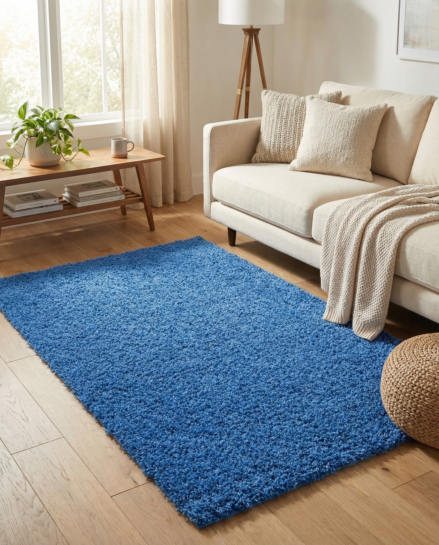 3' x 5' 3 Solid Shag Rug
