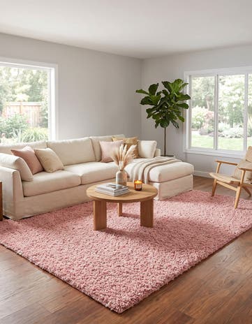 7' x 10' Zermatt Shag Rug