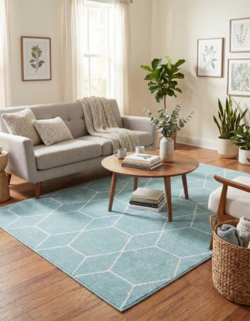 5' 3 x 8' Lattice Frieze Rug