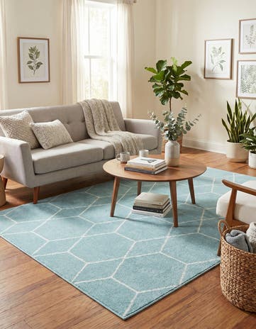 5' 3 x 8' Lattice Frieze Rug