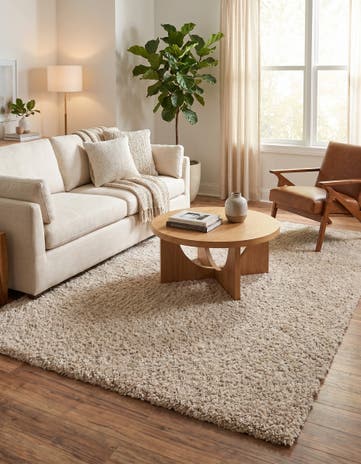 7' 10 x 11' Zermatt Shag Rug