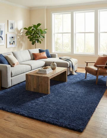 9' x 12' Solid Frieze Rug