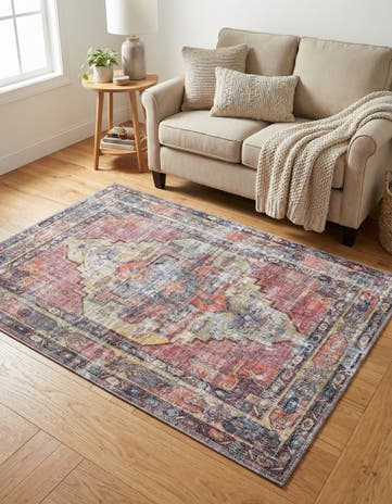4' x 6' Washable Maahru Rug