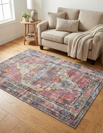 4' x 6' Washable Maahru Rug