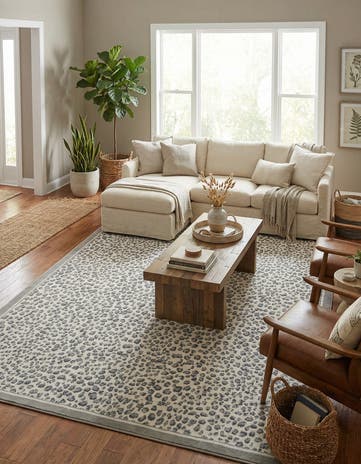 Gray Savannah Rug