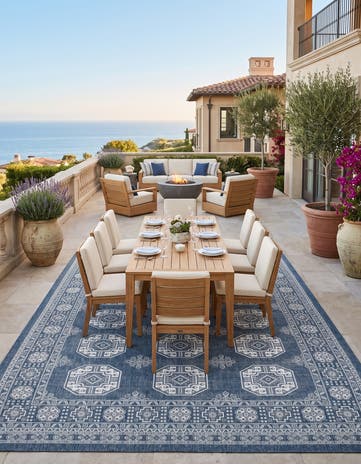305cm x 430cm Easy-Clean Traditional Indoor / Outdoor Rug