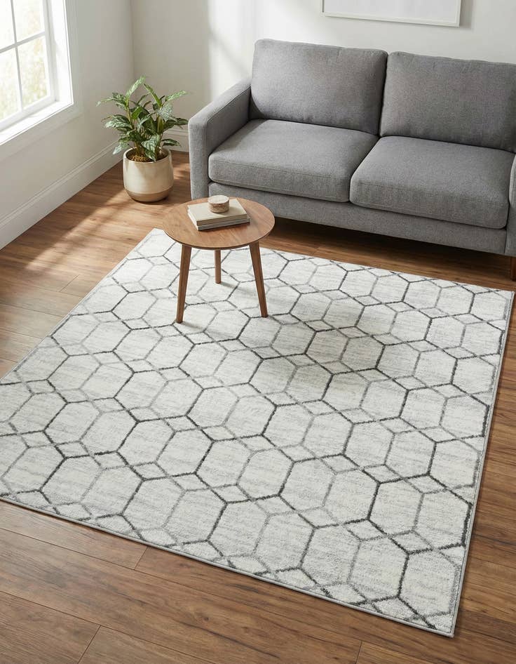 Detail image of  5' 3 x 5' 3 Lattice Trellis Square Rug