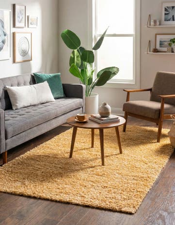 4' x 6' Zermatt Shag Rug