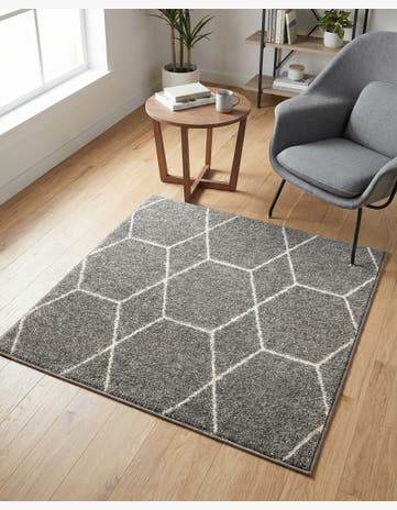 3' x 3' Trellis Frieze Square Rug