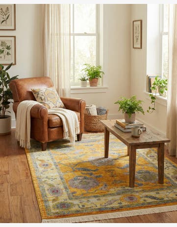 3' 3 x 5' 3 Paragon Rug