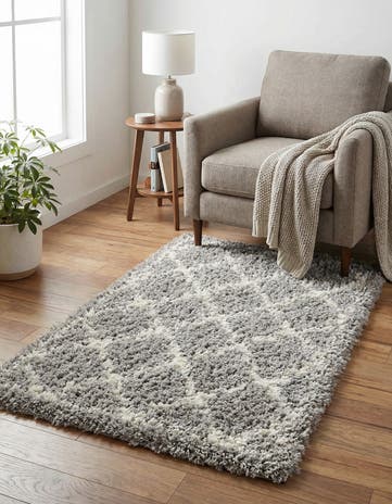 Ash Gray Infinity Shag Rug