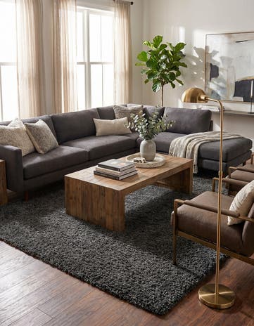 10' x 13' Zermatt Shag Rug