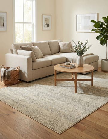 5' 3 x 8' Angelica Rug