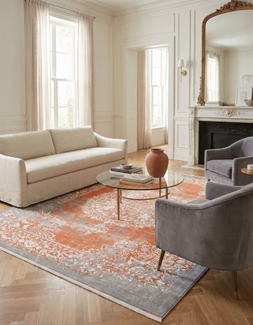 8' x 10' Modern Classical Rug