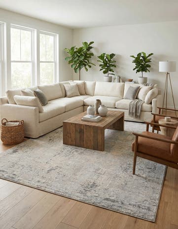 10' x 13' Caspian Rug