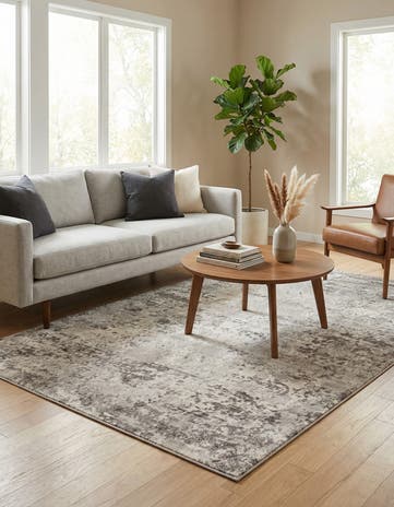 5' 3 x 8' Aurora Rug