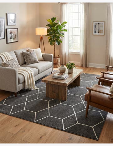 7' x 10' Trellis Frieze Rug