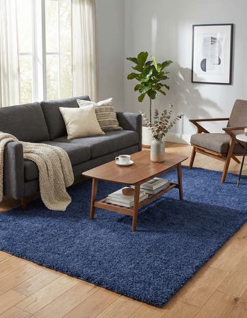6' x 9' Solid Frieze Rug