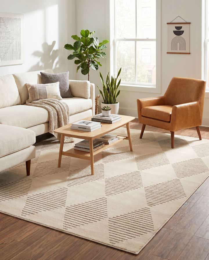 8' x 10' Contour Rug