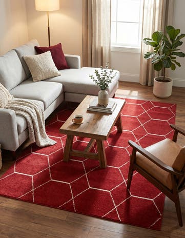 5' 3 x 8' Lattice Frieze Rug