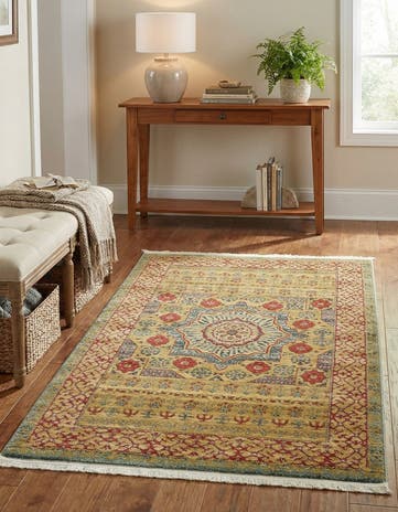 3' x 5' 3 Amina Rug