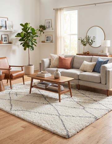 Ivory Soft Touch Shag Rug