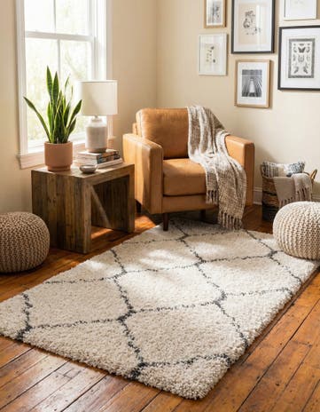 3' 3 x 5' 3 Moroccan Shag Rug