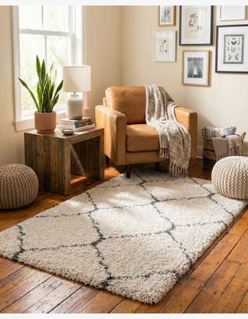 Ivory Moroccan Shag Rug