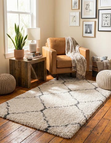 3' 3 x 5' 3 Moroccan Shag Rug