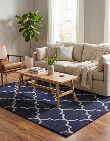 4' x 6' Luna Rug