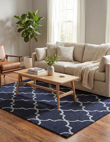 4' x 6' Luna Rug
