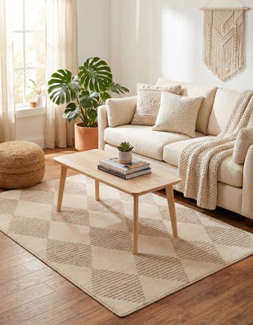 4' x 6' Contour Rug