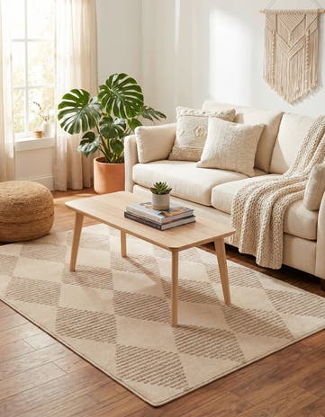 4' x 6' Contour Rug